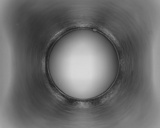 X0000116380442200912091418