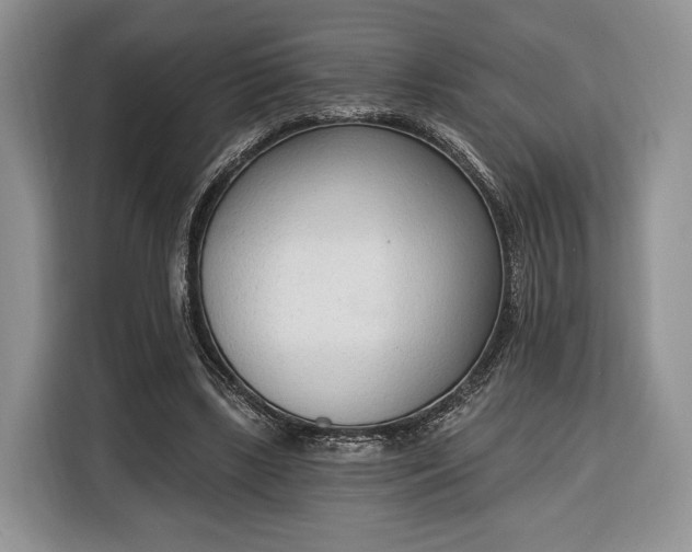 X0000116380443200912091418