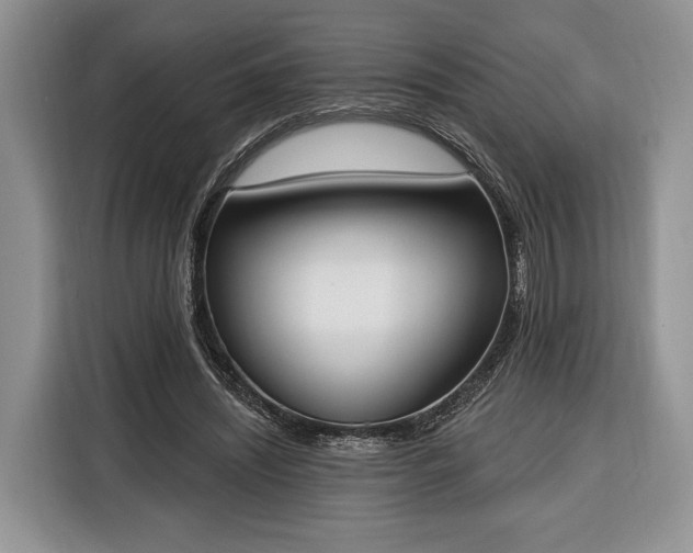 X0000116380444200912091418