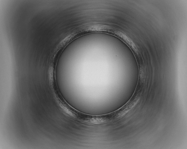X0000116380445200912091418