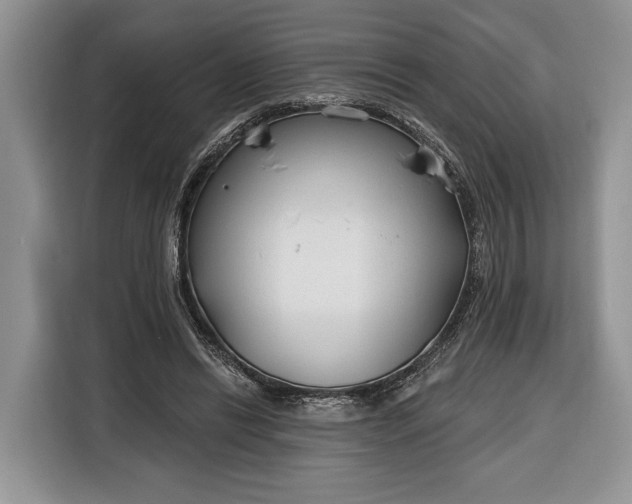 X0000116380446200912091418