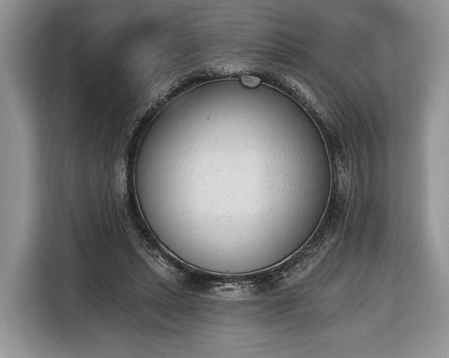 X0000116380447200912091418