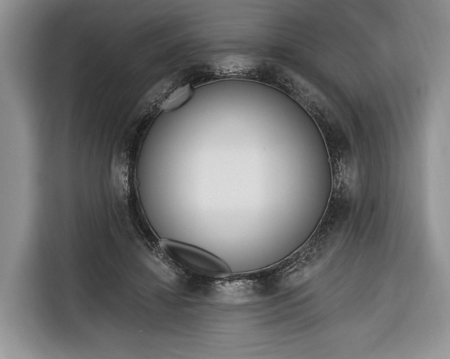 X0000116380452200912091418
