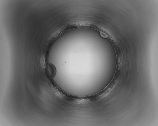 X0000116380453200912091418