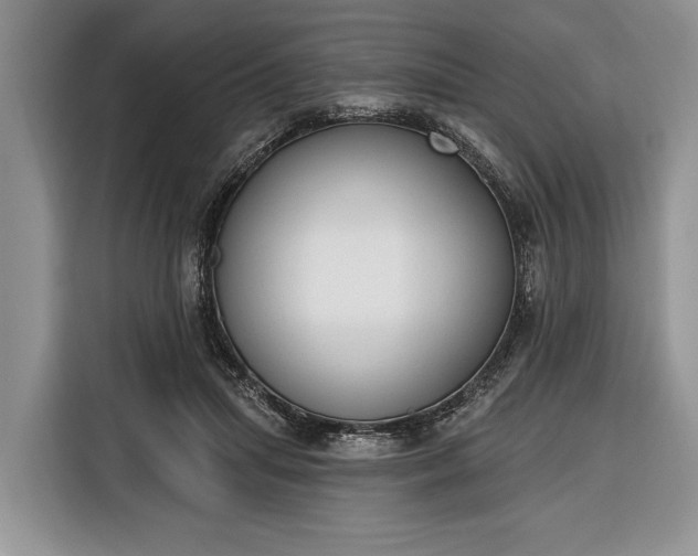 X0000116380455200912091418