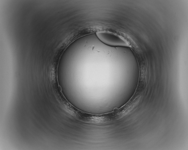 X0000116380457200912091418