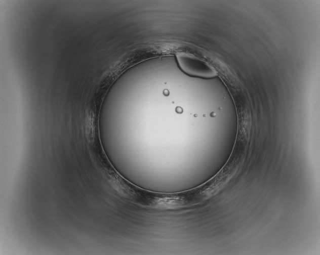 X0000116380461200912091418
