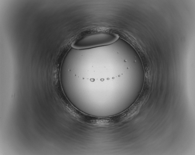 X0000116380462200912091418