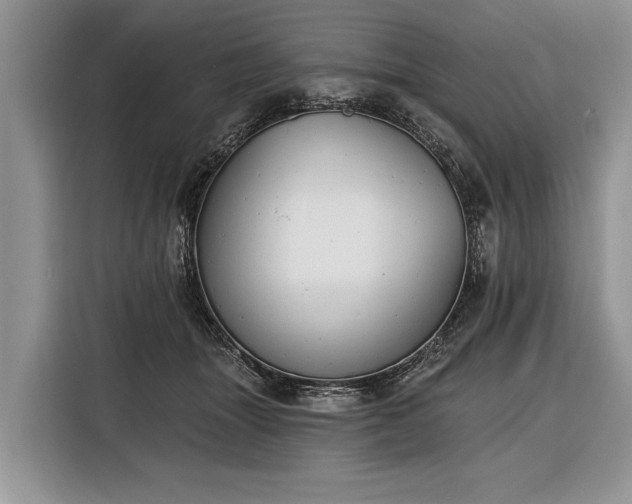 X0000116380463200912091418