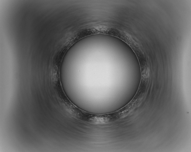 X0000116380464200912091418