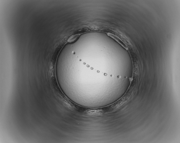X0000116380465200912091418
