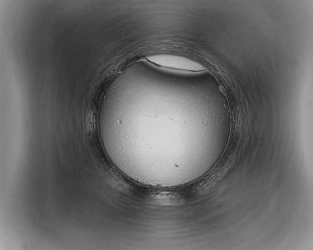 X0000116380467200912091418