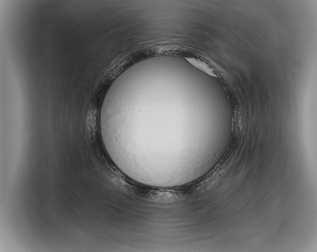 X0000116380475200912091418