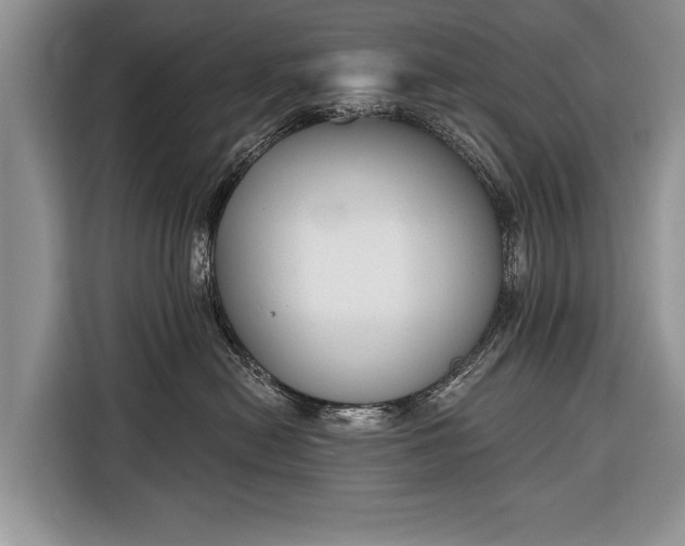 X0000116380478200912091418