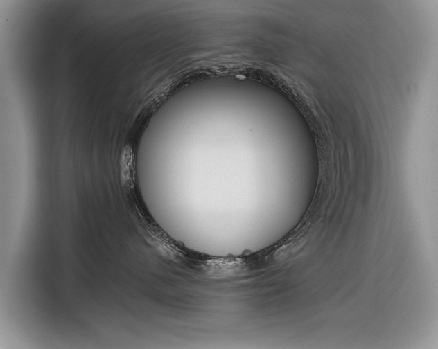 X0000116380480200912091418