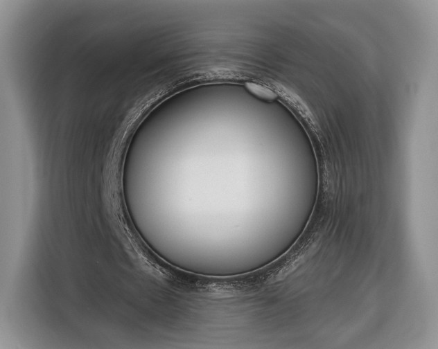 X0000116380481200912091417