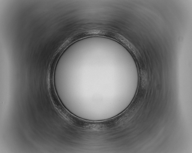 X0000116380482200912091417