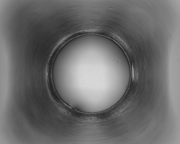 X0000116380483200912091417