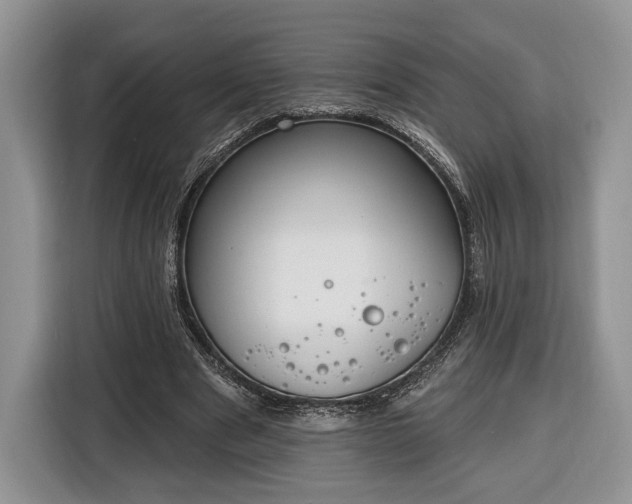 X0000116380489200912091417