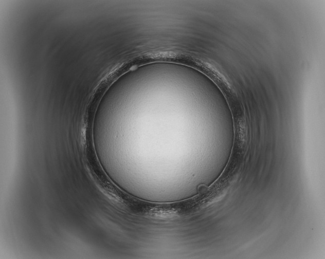 X0000116380491200912091417