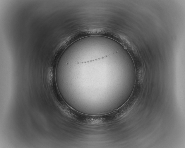 X0000116380495200912091417