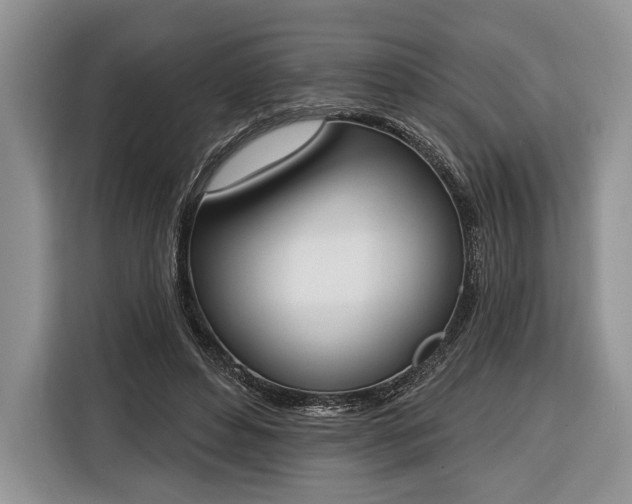 X0000116380496200912091417