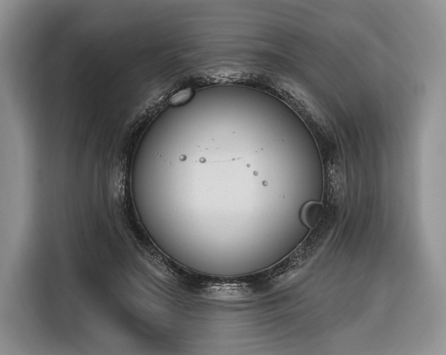 X0000116380499200912091417
