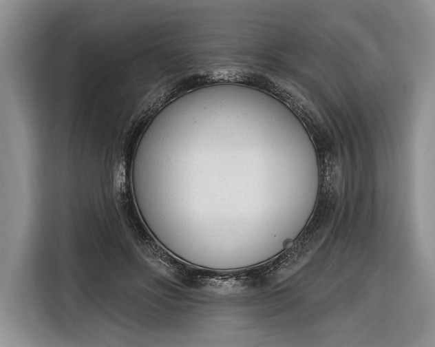 X0000116380502200912091417