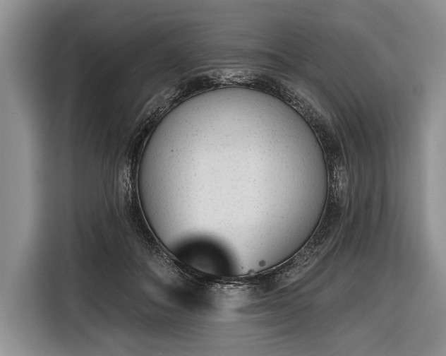 X0000116380506200912091417