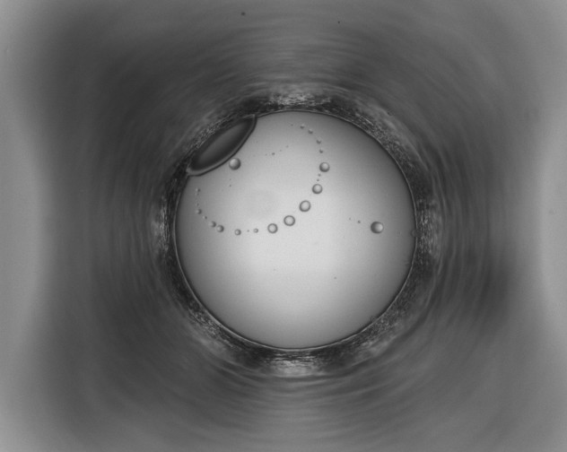 X0000116380510200912091417