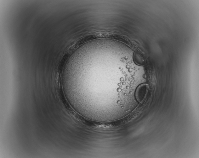 X0000116380511200912091417