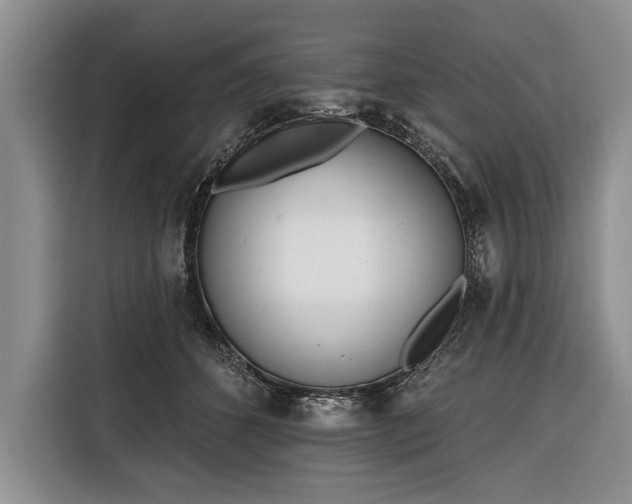 X0000116380512200912091417