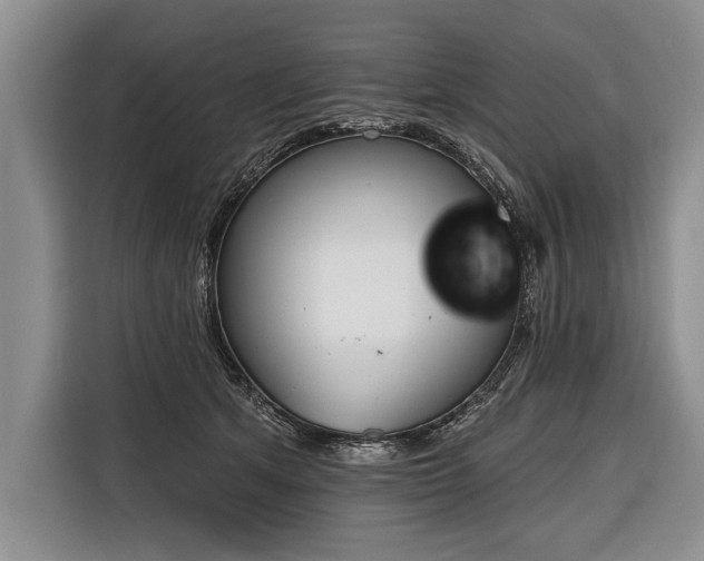 X0000116380513200912091417
