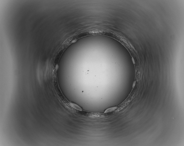 X0000116380521200912091417