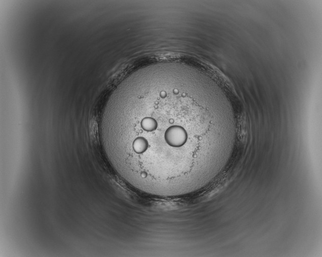 X0000116380523200912091417