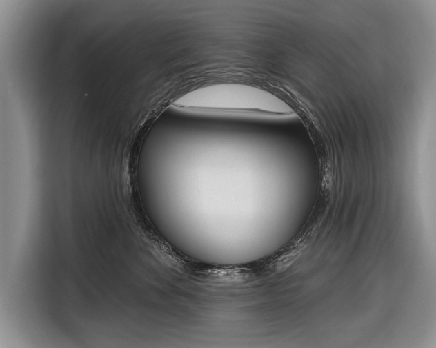 X0000116380524200912091417