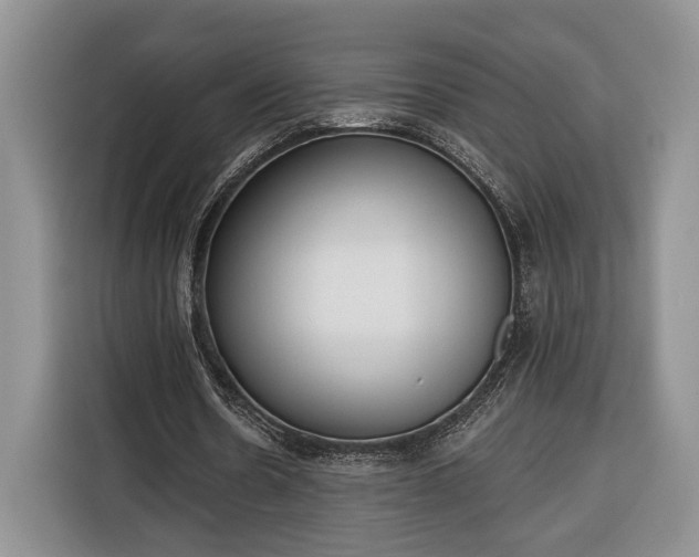 X0000116380530200912091416