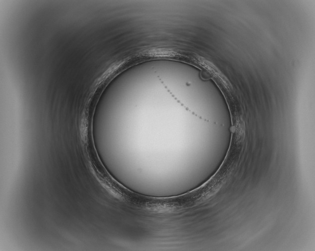 X0000116380533200912091416