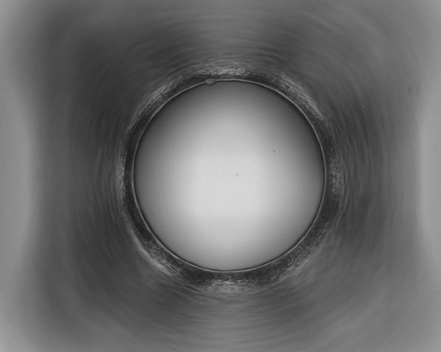 X0000116380538200912091416