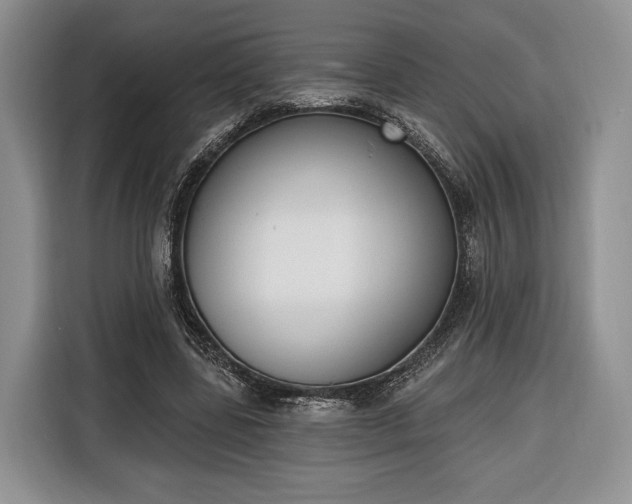 X0000116380539200912091416