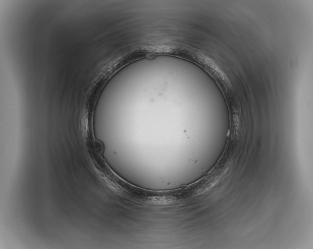 X0000116380541200912091416