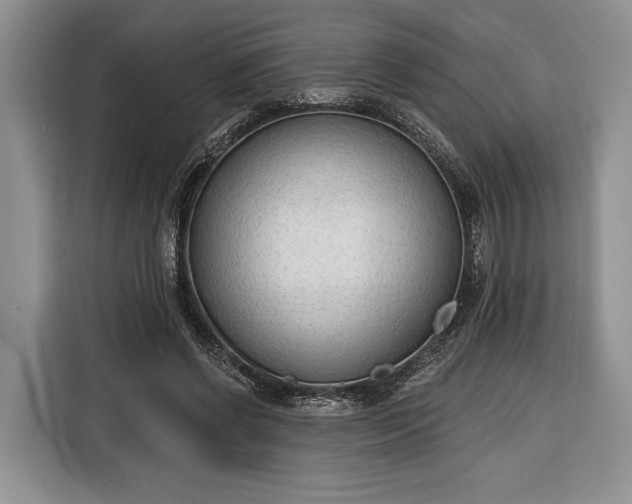 X0000116380542200912091416