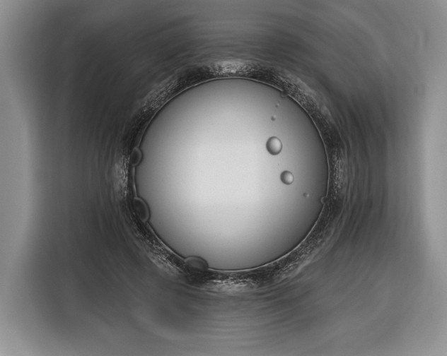 X0000116380545200912091416