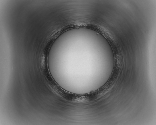 X0000116380550200912091416