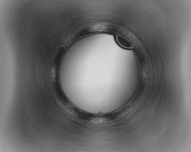 X0000116380551200912091417