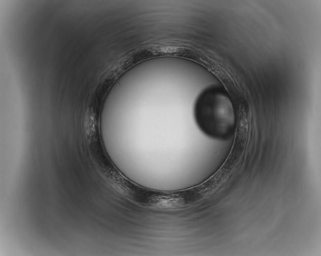 X0000116380555200912091417
