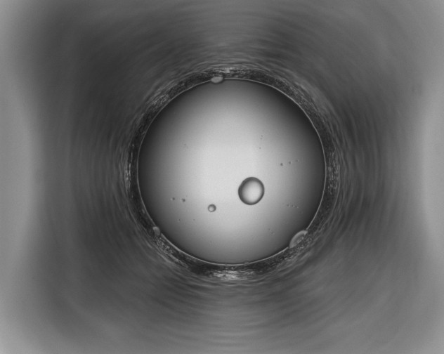 X0000116380558200912091417