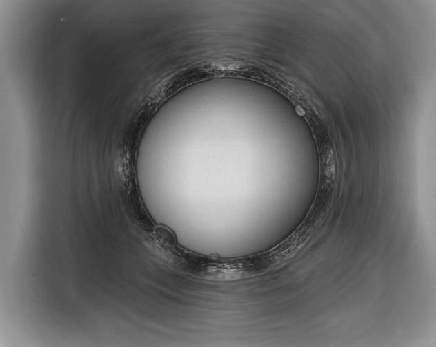 X0000116380559200912091417