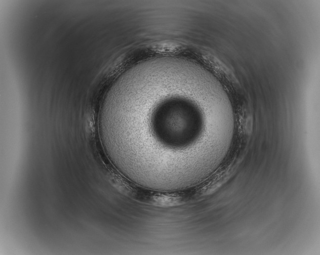 X0000116380561200912091417