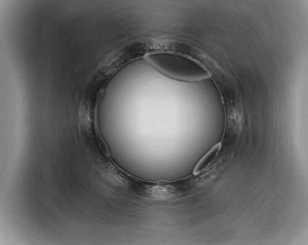X0000116380566200912091417